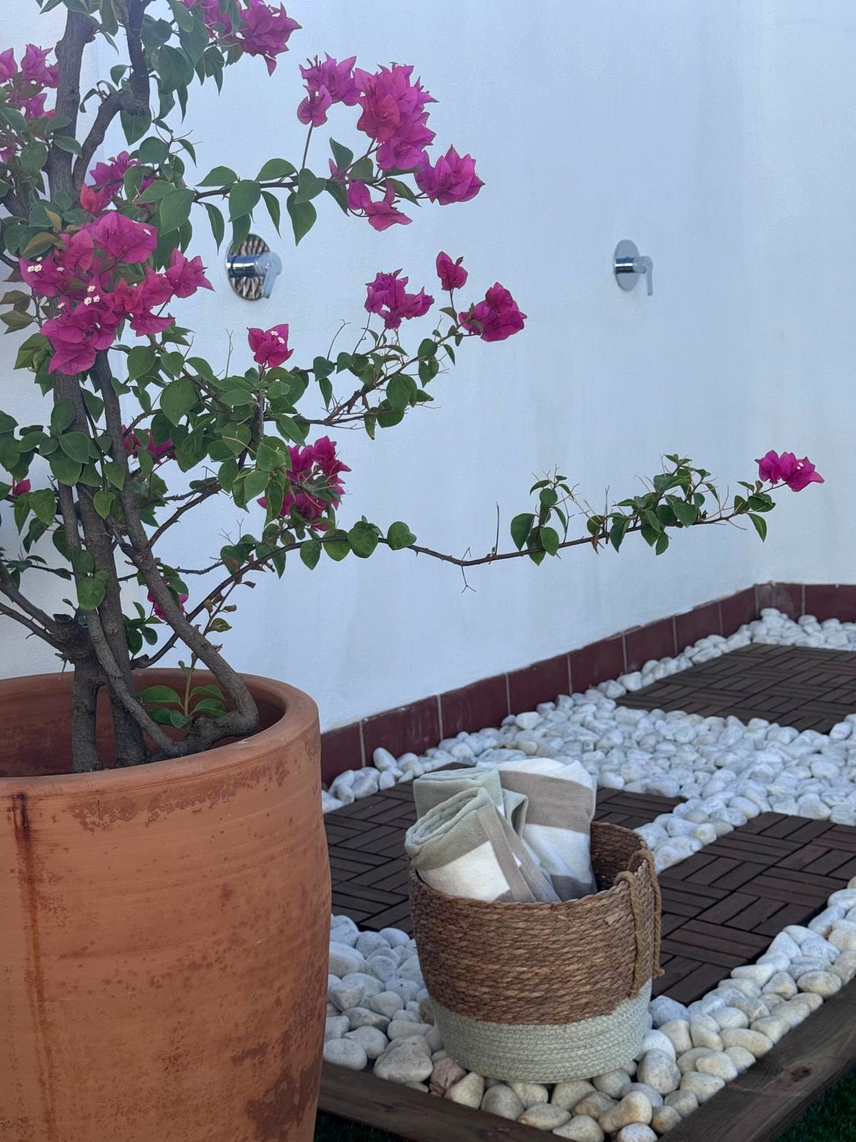 : “Terraza de Suite Generis con buganvilla y zona de ducha”